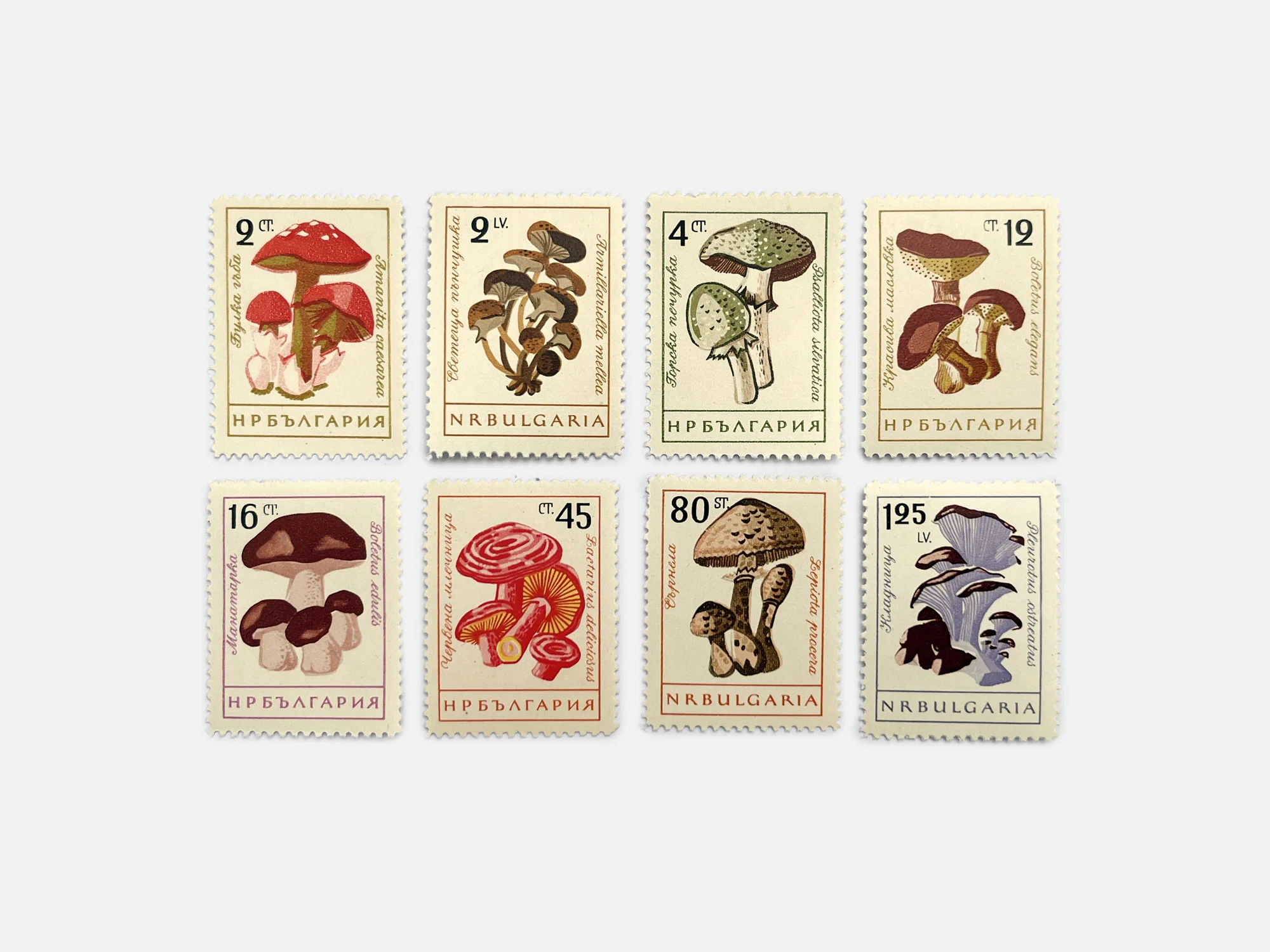 Bulgarian Mushroom Stamps (1961)