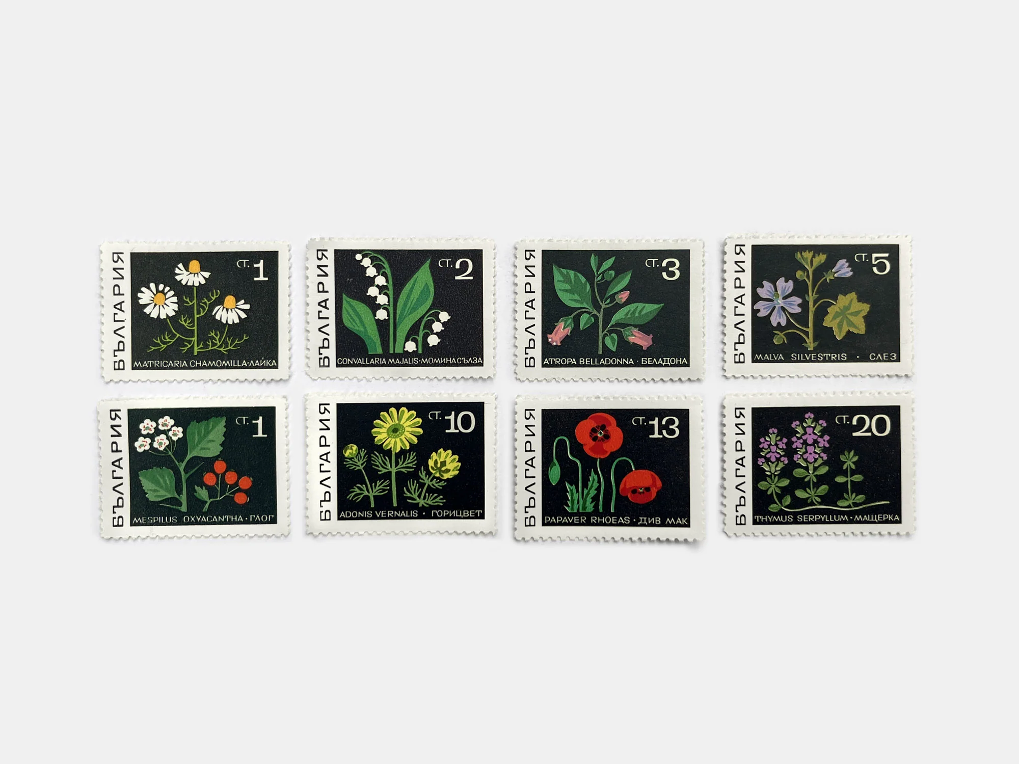 Bulgarian Flora Stamps (1969)