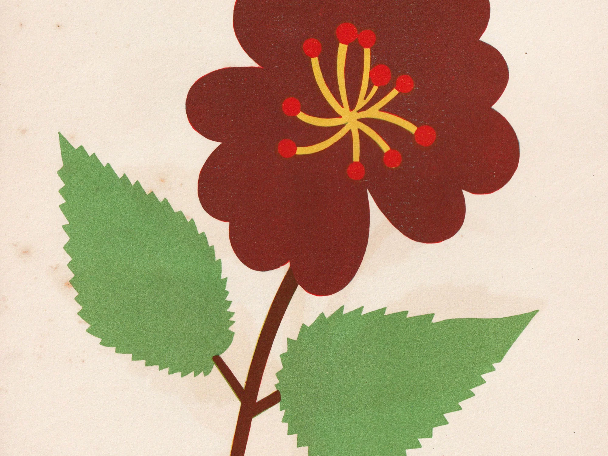 Decoupages 2 (1948) - Image 5